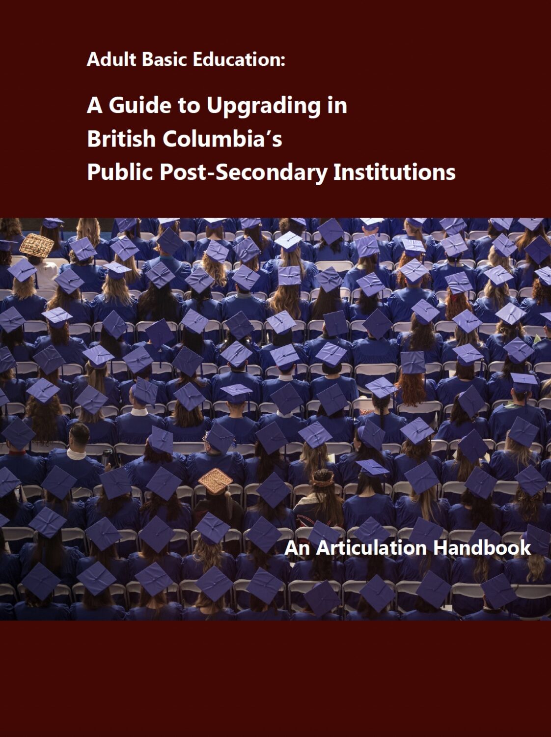 Cover image for A Guide to Upgrading in British Columbia’s Public Post-Secondary Institutions